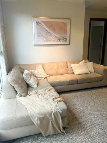 Canna, Gumdale-17