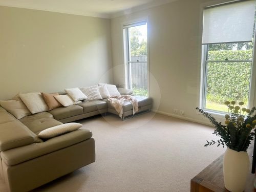 Canna, Gumdale-19