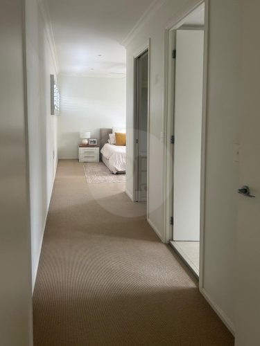 Canna, Gumdale-27