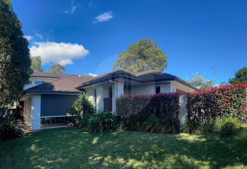 Canna, Gumdale-7