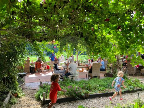 Growers' Market, Currumbin Valley-15