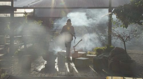 Growers' Market, Currumbin Valley-2
