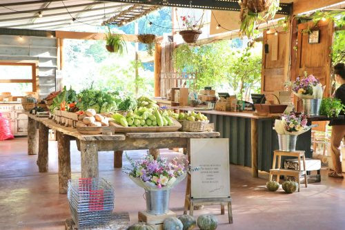 Growers' Market, Currumbin Valley-20
