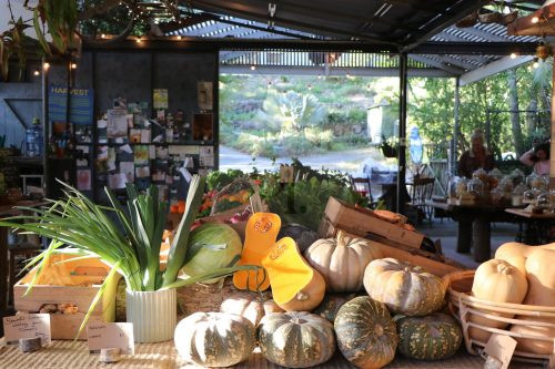 Growers' Market, Currumbin Valley-21