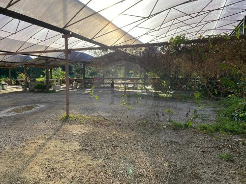 Growers' Market, Currumbin Valley-27