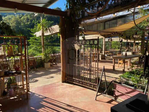 Growers' Market, Currumbin Valley-39