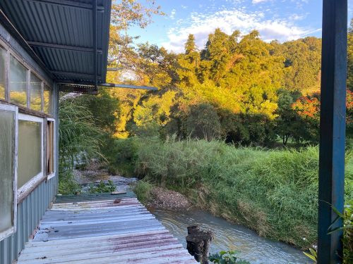 Growers' Market, Currumbin Valley-50