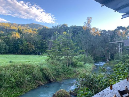 Growers' Market, Currumbin Valley-54