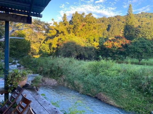 Growers' Market, Currumbin Valley-55
