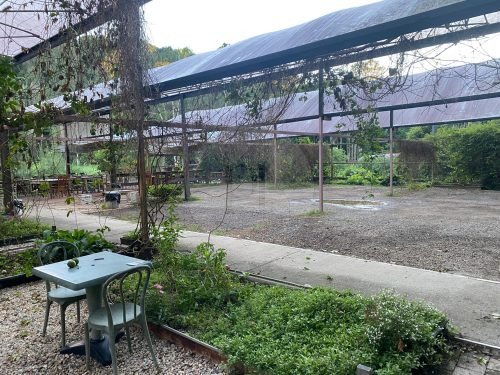 Growers' Market, Currumbin Valley-58