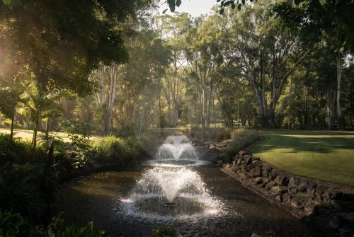 High Country, Tallebudgera Valley-5