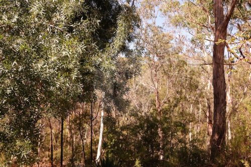 Moon River, Warrandyte_NEW_11