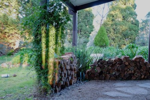 garden established