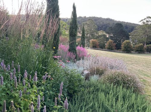 garden established