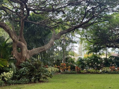 garden established