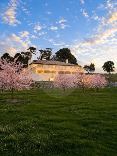 Villa Bella Vista, Mount Burnett 27
