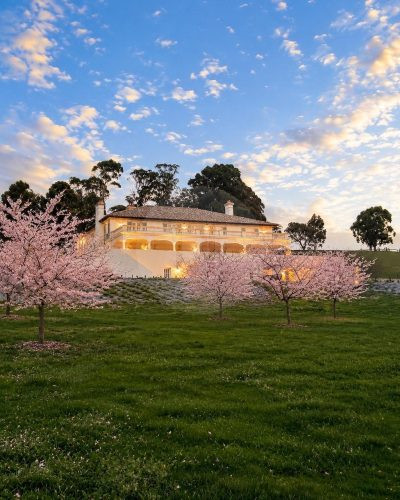 Villa Bella Vista, Mount Burnett 63