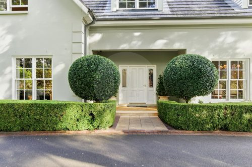 Whisperstone, Dural-32