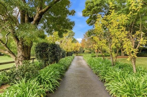 Whisperstone, Dural-36