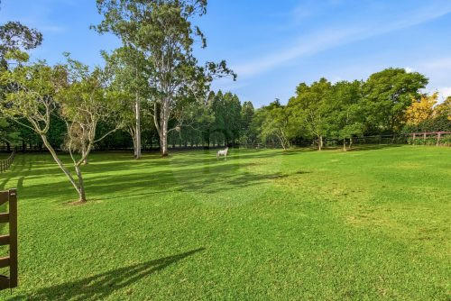 Whisperstone, Dural-37