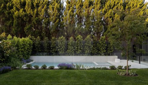 backyard pool