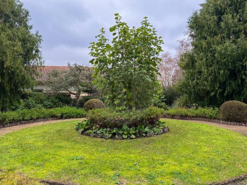 garden established
