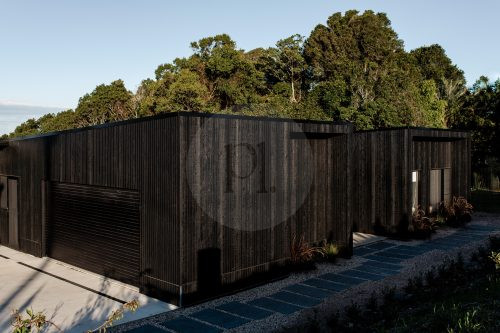 Black Beauty, Dulong 41