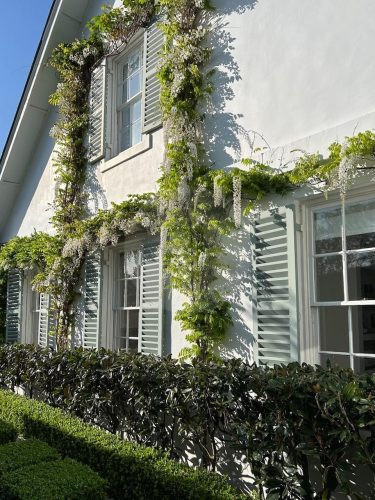 facade garden established