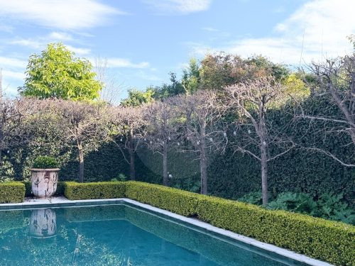 Dove House, Mosman 23