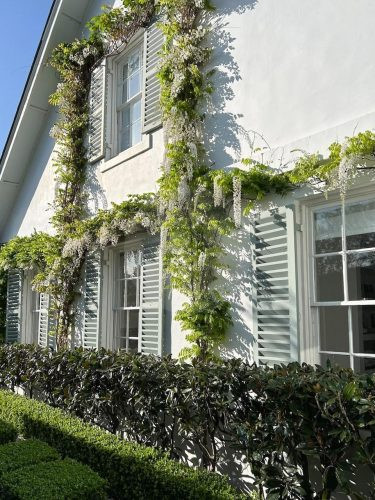 garden established