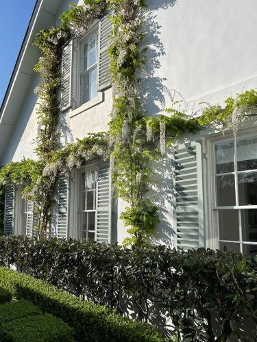 garden established 