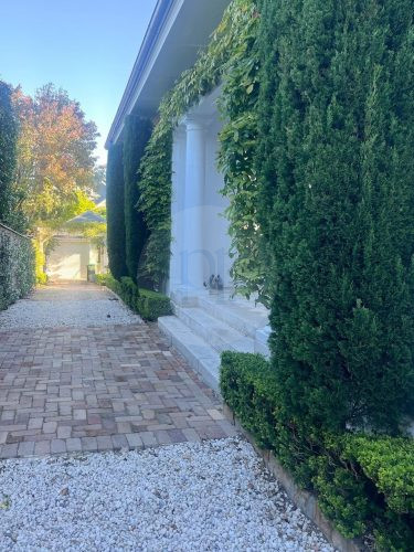 driveway 