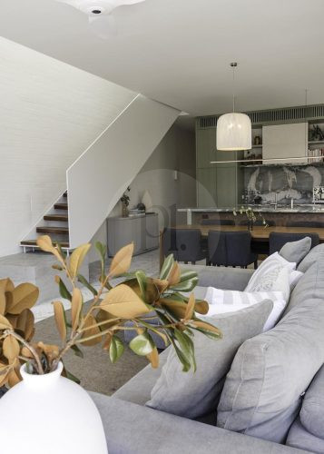 Fern Halo, Bondi 1