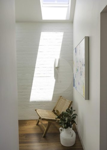 Fern Halo, Bondi 20