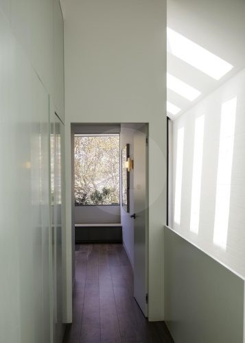 Fern Halo, Bondi 23