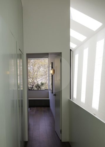 Fern Halo, Bondi 43