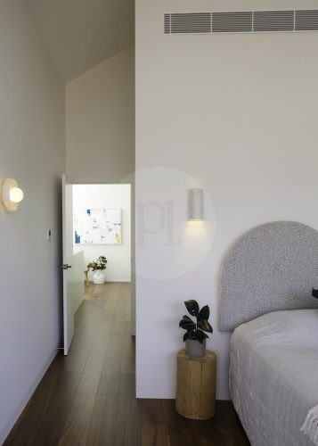 Fern Halo, Bondi 62
