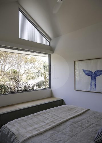 Fern Halo, Bondi 63
