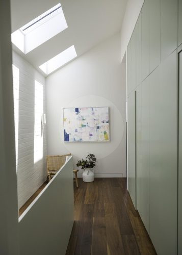 Fern Halo, Bondi 65