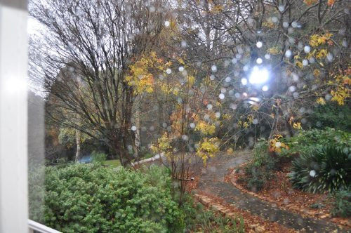 Hollowmere, Avonsleigh 21