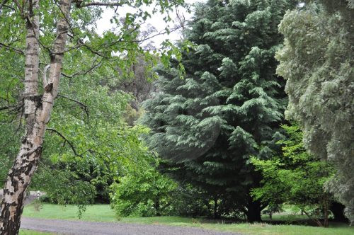 Hollowmere, Avonsleigh 23