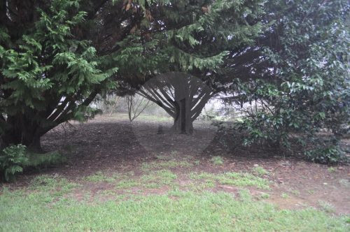 Hollowmere, Avonsleigh 6
