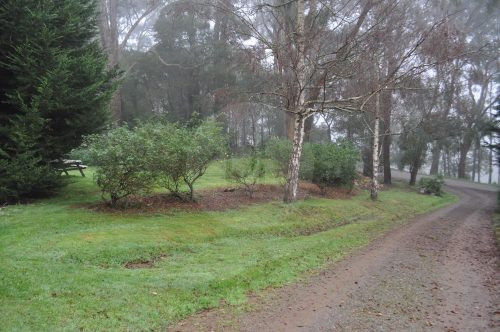Hollowmere, Avonsleigh 7