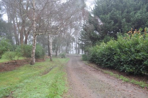 driveway