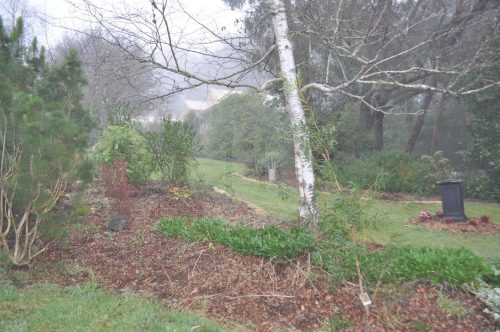 Hollowmere, Avonsleigh 9