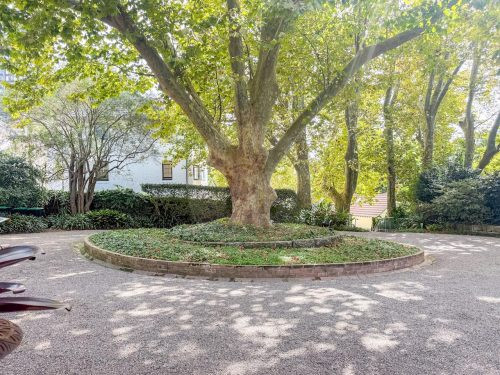 Lindesay House, Darling Point 10