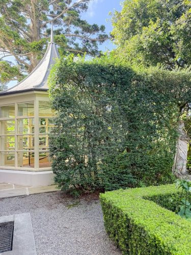 Lindesay House, Darling Point 16