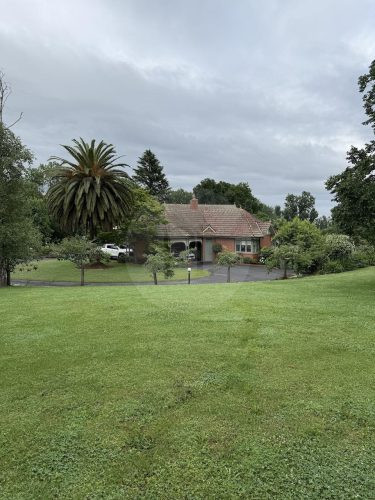 garden established