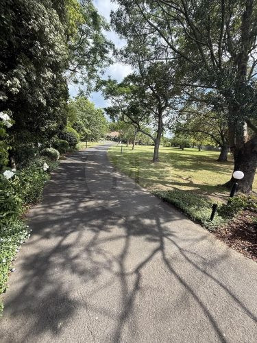 Oakleigh Estate, Lilydle31