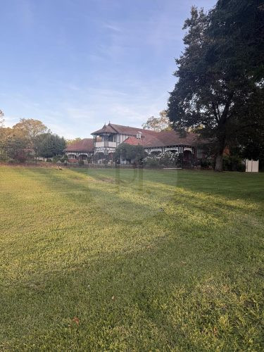 Oakleigh Estate, Lilydle33